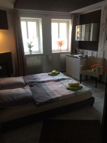 Doja Medical Wellness Center Daire Bernburg Dış mekan fotoğraf